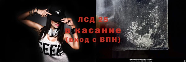 ГАЛЛЮЦИНОГЕННЫЕ ГРИБЫ Алзамай