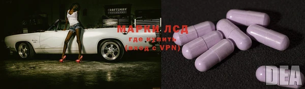 ГАЛЛЮЦИНОГЕННЫЕ ГРИБЫ Алзамай