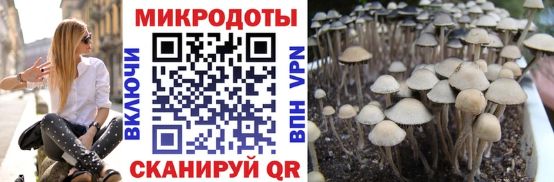 Галлюциногенные грибы Magic Shrooms  Кировград 