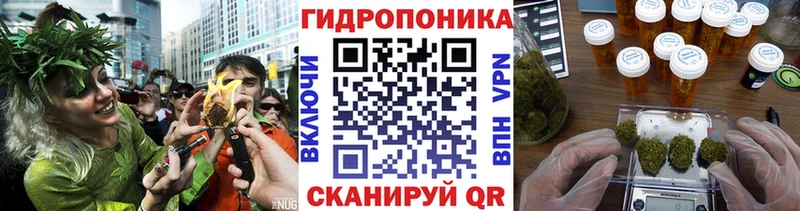 Бошки марихуана сатива  Кировград 